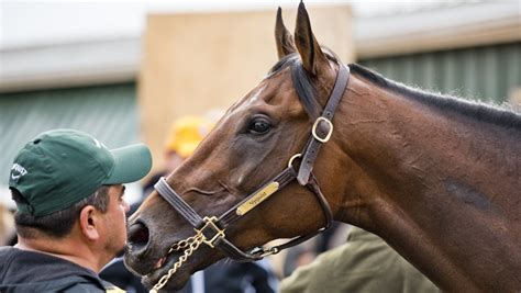 Preakness Stakes Winners & Past Results .